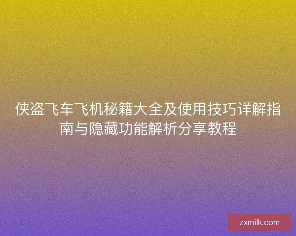 侠盗飞车飞机秘籍大全及使用技巧详解指南与隐藏功能解析分享教程