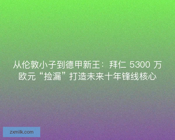 从伦敦小子到德甲新王：拜仁 5300 万欧元 “捡漏” 打造未来十年锋线核心