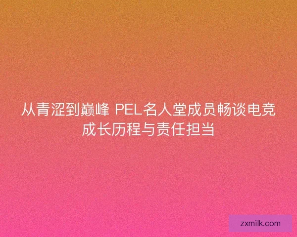从青涩到巅峰 PEL名人堂成员畅谈电竞成长历程与责任担当 从青涩到巅峰 PEL名人堂成员畅谈电竞成长历程与责任担当